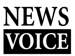 News Voice 500x500.png